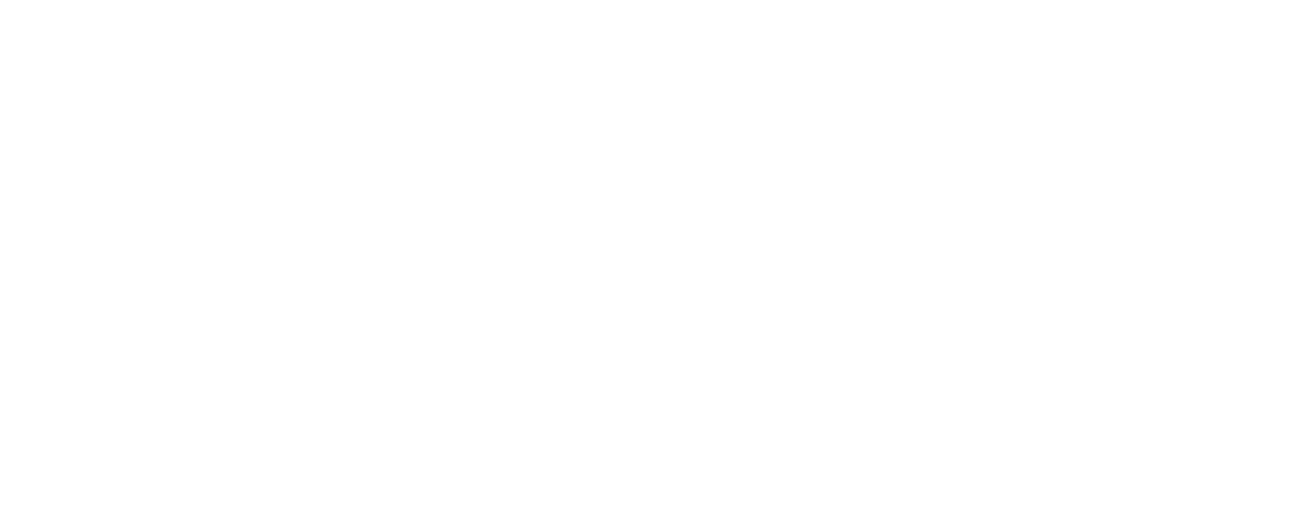 Zang Agency